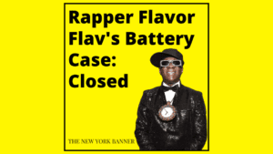 Rapper Flavor Flav's Battery Case_ Closed