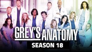 Greys Anatomy Cover with Cast