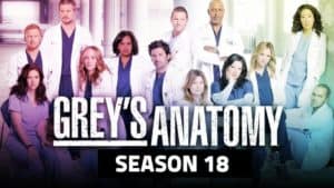 Greye Anatomy Cover with Cast
