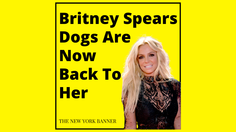 Britney Spears Dogs Are Now Back To Her