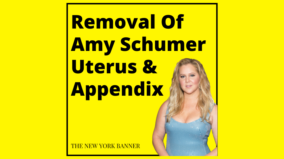 Removal Of Amy Schumer Uterus & Appendix